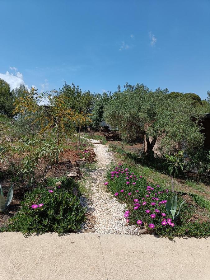 אלורה Casa Serenity מראה חיצוני תמונה