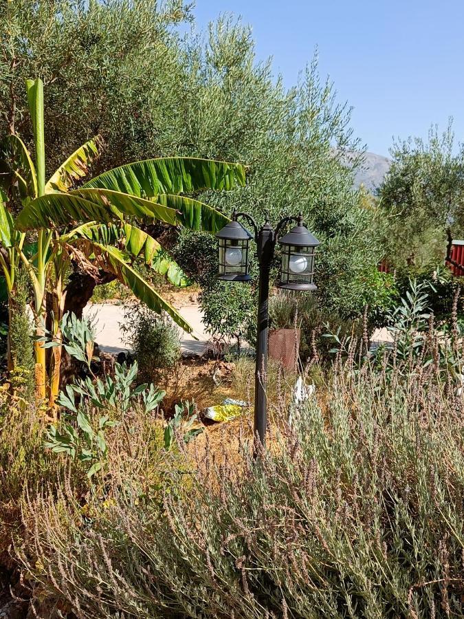 אלורה Casa Serenity מראה חיצוני תמונה