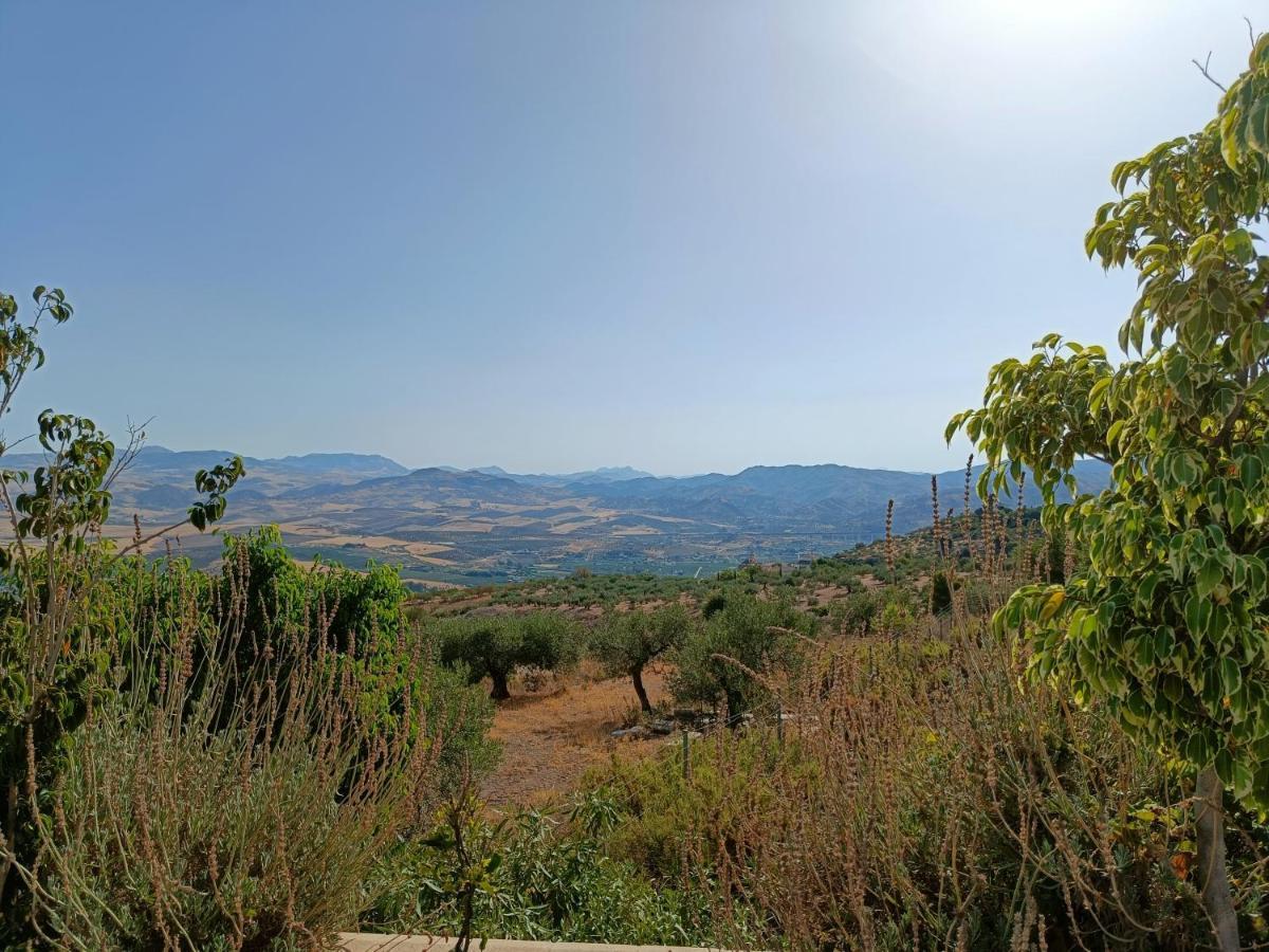 אלורה Casa Serenity מראה חיצוני תמונה